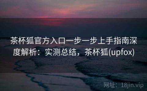 茶杯狐官方入口一步一步上手指南深度解析：实测总结，茶杯狐(upfox)