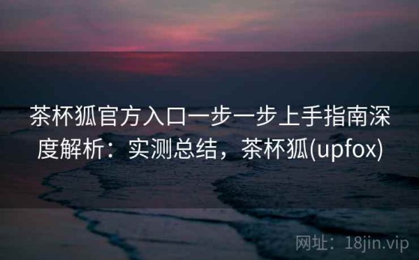茶杯狐官方入口一步一步上手指南深度解析：实测总结，茶杯狐(upfox)