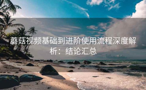 蘑菇视频基础到进阶使用流程深度解析：结论汇总
