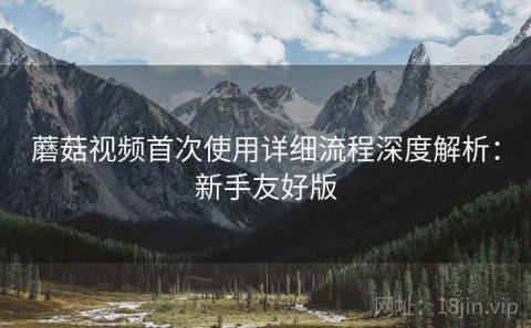蘑菇视频首次使用详细流程深度解析：新手友好版