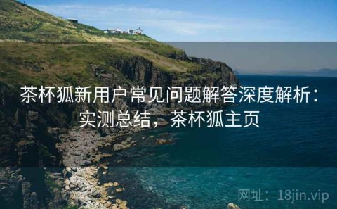 茶杯狐新用户常见问题解答深度解析：实测总结，茶杯狐主页