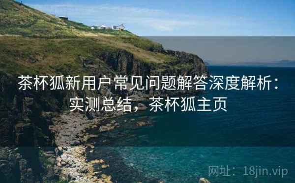 茶杯狐新用户常见问题解答深度解析：实测总结，茶杯狐主页