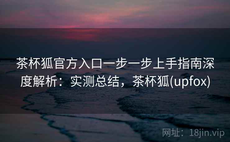 茶杯狐官方入口一步一步上手指南深度解析：实测总结，茶杯狐(upfox)